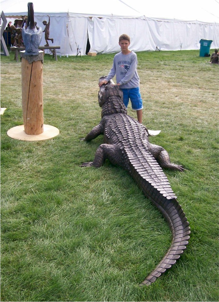 American Alligator "Tiny"