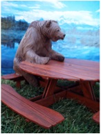 The Big Bear at Table
