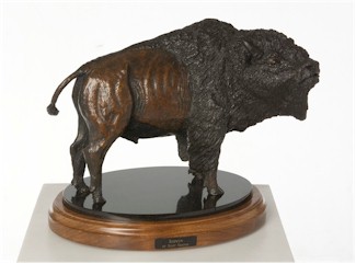 American Bison "Issiwun" 