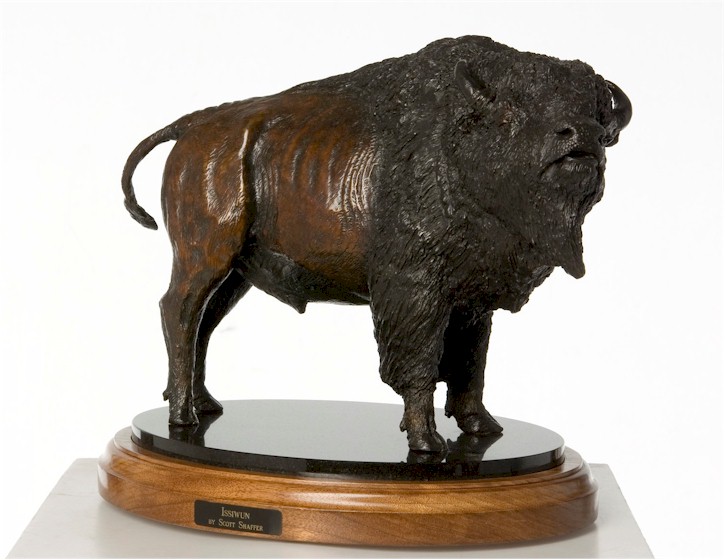 American Bison "Issiwun" 