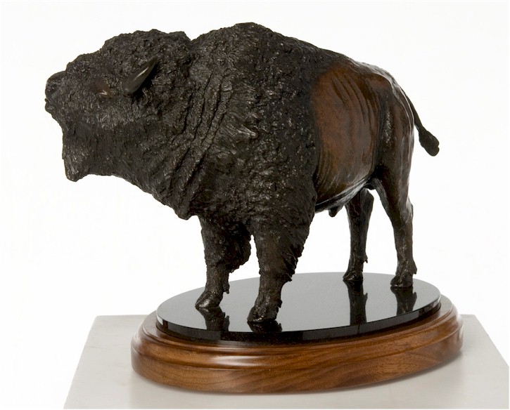 American Bison - Issiwun 