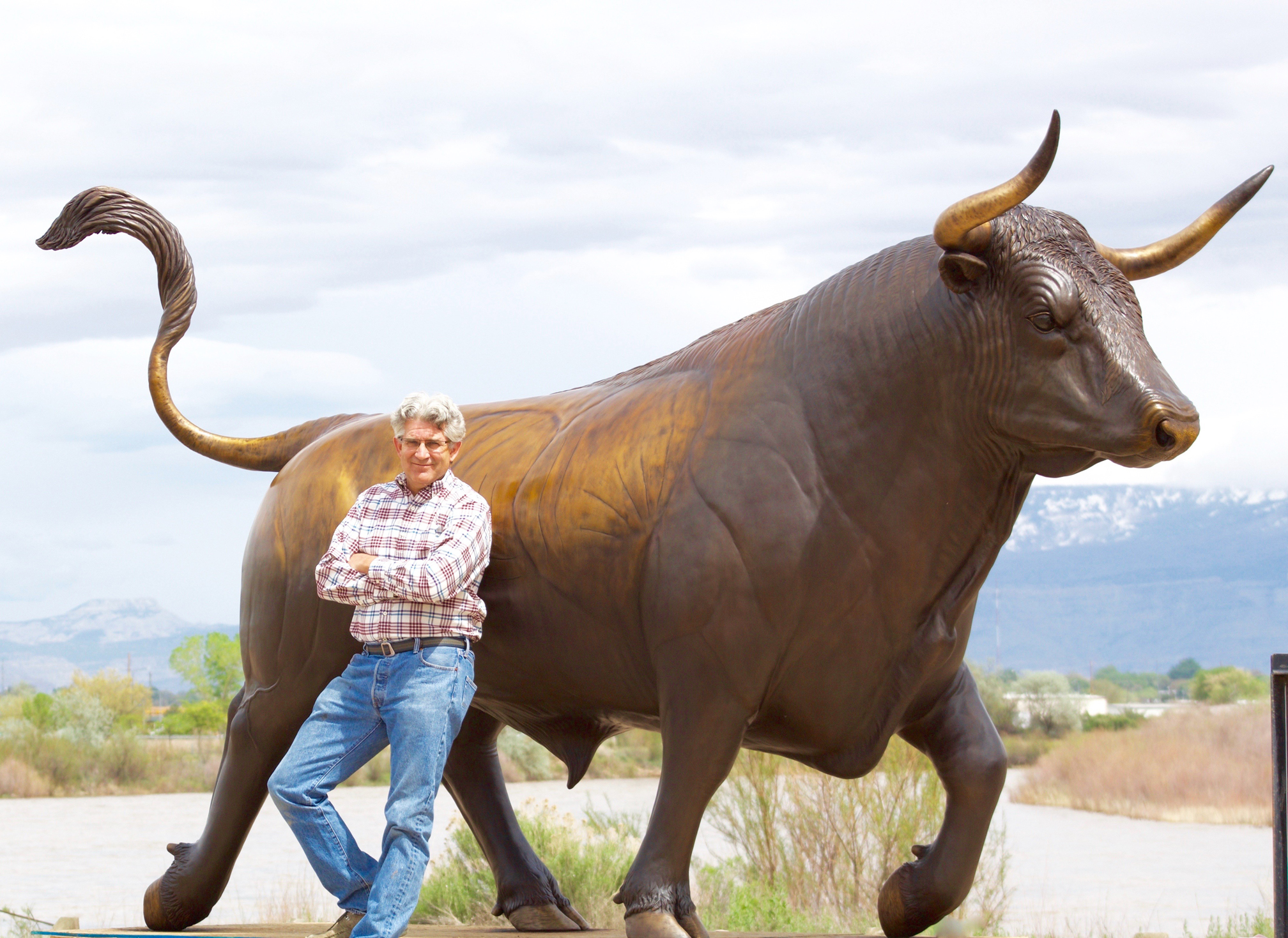 Spanish Fighting Bull