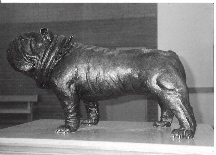 Bulldog "Bronze Bulldog"