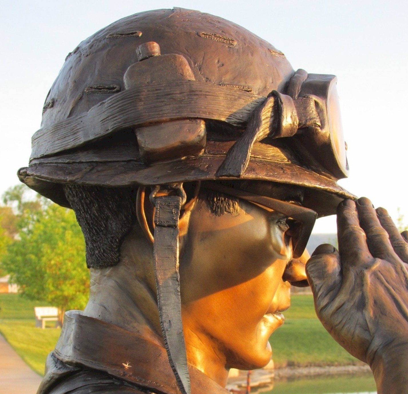 Saluting Soldier