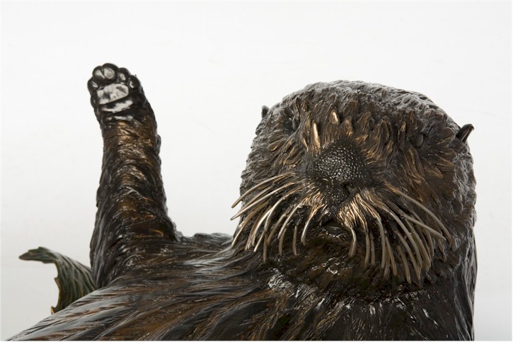 Sea Otter "I Otter be in Pictures"